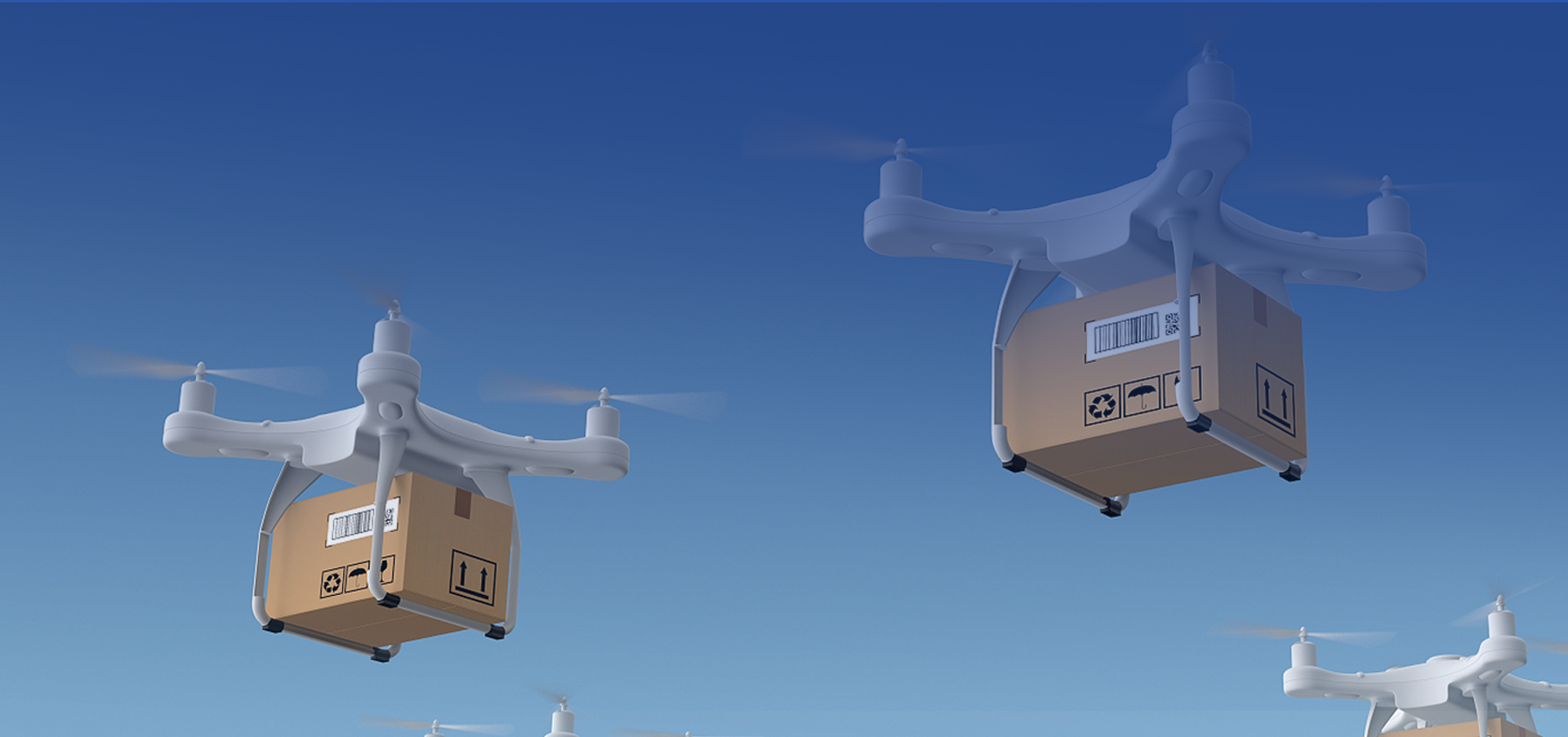 紹興大魚包裝有限公司